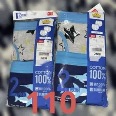 Item thumbnail for item d11e029d-4e1d-4f5d-b19f-80c36133bec6