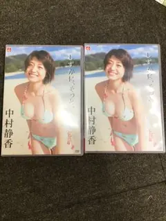 中村静香 しずかに、そっと。 DVD 2枚組