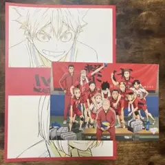 劇場版ハイキュー!! ゴミ捨て場の決戦 入場特典