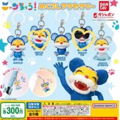 ◎ ニャンちゅう めじるしアクセサリー