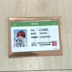 カラフルピーチ　じゃぱぱ　からぴちパラダイス　学生証
