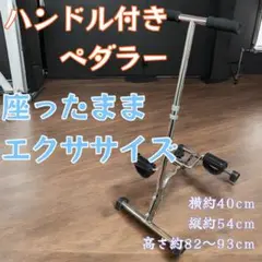 ハンドル付きペダラー エクササイズ