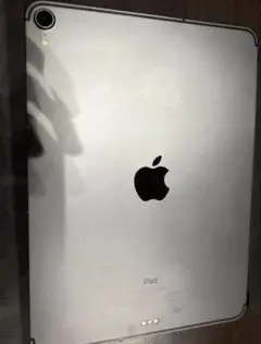 iPadPro11インチ 256G Cellular グレイ 第1世代 ジャンク