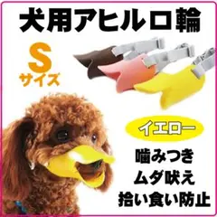 Item thumbnail for item c38ddfa5-afe4-4ba8-aca8-23dba3c7bd08