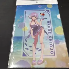 グリッドマンユニバース　海の家　クリアファイル 新条アカネ