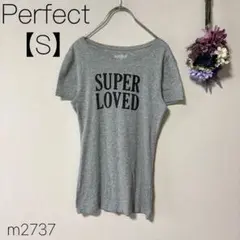 半袖Tシャツ プリント グレー Uネック 綿混 春夏 【S】