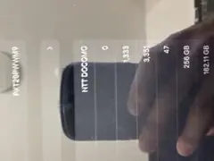 iPad Pro (12.9インチ) 第5世代 256GB NTT DOCOMO