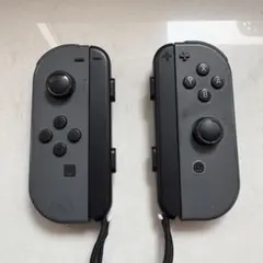 Nintendo Switch Joy-Con グレー