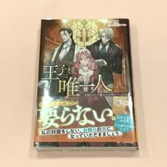 私の王子様は唯一人 : ～本物の王子様などお呼びではない～