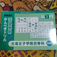 Item thumbnail for item 861c1810-46d3-421b-8ced-143971ef375e