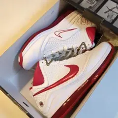 Item thumbnail for item 1494224a-2c98-4817-b68e-0b5eab20a14c