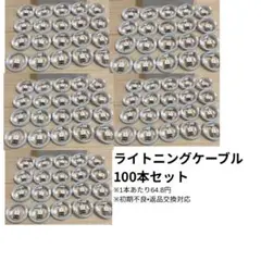 【新品】iPhone ライトニングケーブル　タイプA 1m 100本