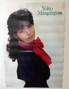 南野陽子 ポスター3枚 BLOOM SHOWFLAKES