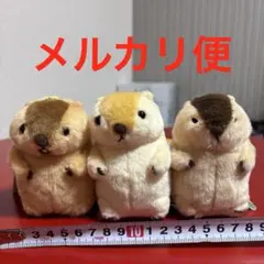 マーモットのもっとっと　LMC ３種 ぬいぐるみ　マスコット