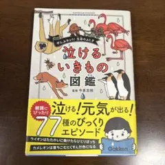 泣けるいきもの図鑑