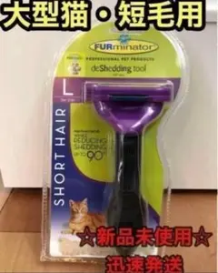 Item thumbnail for item 6b0da3d1-42b1-4d66-baa7-b429726390aa