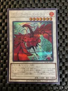 遊戯王 ブラックローズドラゴン シークレット 絵違い QCAC