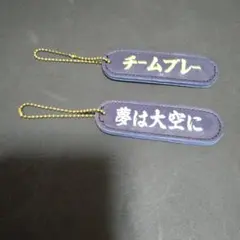 ミズノ野球キーホルダー2個セット