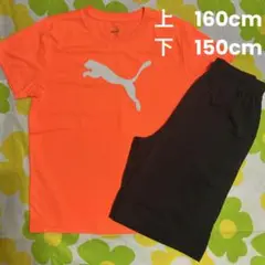 PUMA 半袖シャツ、半ズボン、上下セット売り