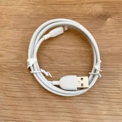 ▪︎ iPhone ipad 充電 ケーブル 1m Lightning