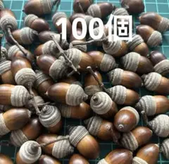 縞々帽子付きどんぐり　100個