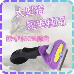 Item thumbnail for item e0677706-6e86-45b9-b895-d879c8a8c23f
