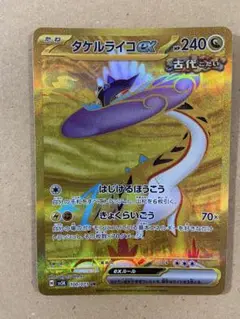 タケルライコex UR