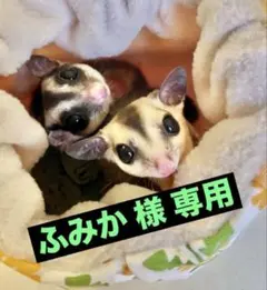 Item thumbnail for item c75b4e37-9c1f-4952-907a-6cecfb6abc4b