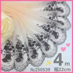 №250539　チュールレース
