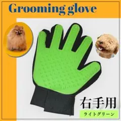 Item thumbnail for item c58c0dcf-9c7e-47be-9794-961430ff88c0