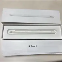 Apple Pencil　アップルペンシル　ジャンク