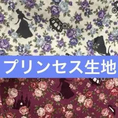生地幅110くらい×33cm 2種類セット　プリンセス　お姫様