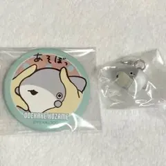 【ベビー子ザメちゃん】缶バッジ&めじるしアクセサリー
