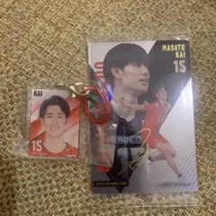 Item thumbnail for item 2eb34904-2f5c-4867-9c0e-fed160b16133