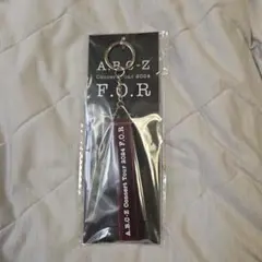 A.B.C-Z Concert Tour 2024 F.O.R. キーホルダー