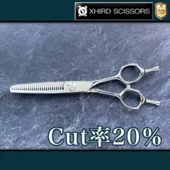 Item thumbnail for item cc93e1d6-bbb5-4686-88d4-2a0c80be5ff6