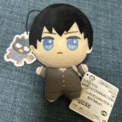 ハイキュー サンリオキャラクターズ　ちびぐるみ　影山飛雄
