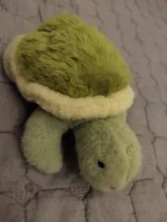 カメ型ぬいぐるみ 小型 緑色