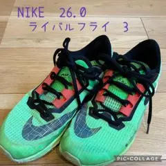 Item thumbnail for item 216b0bf2-c3e6-43eb-89b1-3df5af65fedf