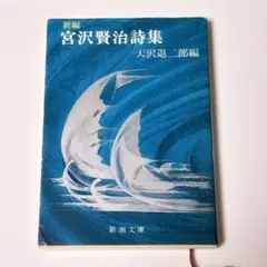 新編 宮沢賢治詩集 天沢退二郎編