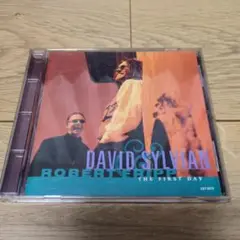 【希少レーザーデイスク】シルヴィアン&フリップ　ライブ・イン・ジャパン 1993 Live in Japan - Sylvian & Fripp laserdisc - David Sylvian