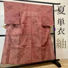 ZY154 美品 小紋 紬 単衣 夏物 肩当て付 バチ衿 紋無 正絹 流水に花