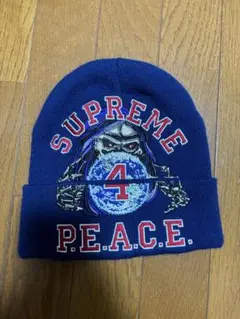supreme × 葵産業 ビーニー　専用 supreme 葵産業ビーニー Aoi Icons Beanie