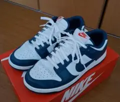 【NIKE】Dunk Low "Valerian Blue"　ダンク スニーカー