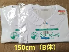 スクログ150cm（B体）スクールブラウス　丸襟長袖形態安定抗菌防臭　2枚セット