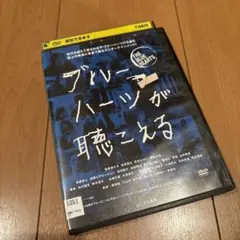 即日発送　ブルーハーツが聴こえる　DVD