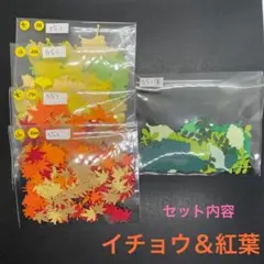 【051-41】秋素材大量!! クラフトパンチ 紅葉＆イチョウ 大小700枚