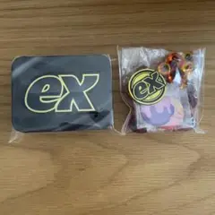 プレミアムトレーナーボックスMEGA付属　ダメカン　ダメカンケース