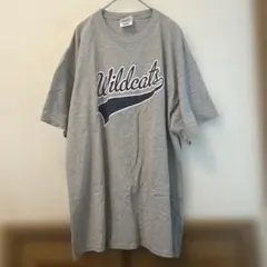 US古着 Wildcatsロゴ入りグレーTシャツ