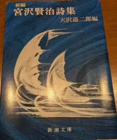 新編宮沢賢治詩集